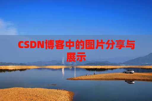 CSDN博客中的图片分享与展示